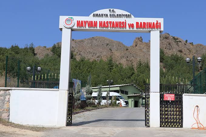 T.C. Amasya Belediyesi